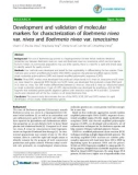 Báo cáo y học: Development and validation of molecular markers for characterization of Boehmeria nivea var. nivea and Boehmeria nivea var. tenacissima