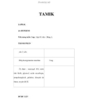 TAMIK