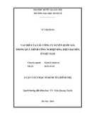 Luận văn Thạc sĩ Kinh tế chính trị: Vai trò của các công ty xuyên quốc gia trong quá trình công nghiệp hóa, hiện đại hóa ở Việt Nam