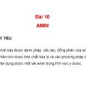 Bài giảng Hoá hữu cơ: Bài 10, 11 - PGS.TS. Nguyễn Thị Thu Trâm