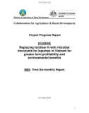 Báo cáo dự án: Replacing fertiliser N with rhizobial inoculants for legumes in Vietnam for greater farm profitability and environmental benefits (MS5)