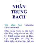 NHÂN TRUNG BẠCH