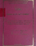 Khóa luận tốt nghiệp: Ứng dụng thương mại điện tử để nâng cao hiệu quả kinh doanh tại các doanh nghiệp xuất khẩu Việt Nam