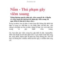 Nấm - Thủ phạm gây viêm xoang