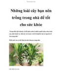 Những loài cây bạn nên trồng trong nhà để tốt cho sức khỏe