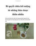 Bí quyết chữa hôi miệng từ những thảo dược thiên nhiên