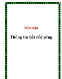 Tiểu luận: Thông tin bất đối xứng