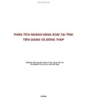 TIỂU LUẬN: PHÂN TÍCH NGÀNH HÀNG XOÀI TẠI TỈNH TIỀN GIANG VÀ ĐỒNG THÁP