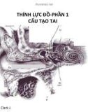 Bài giảng Thính lực đồ: Phần 1 - Cấu tạo tai