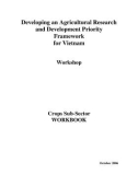 Báo cáo: Developing an Agricultural Research and Development Priority Framework for Vietnam (October 2006)