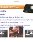 Thú y cơ bản : Các bệnh truyền nhiễm part 4