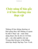 Chức năng tế bào gốc ở tế bào thường của thực vật