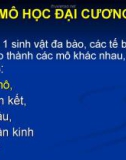 MÔ HỌC ĐẠI CƯƠNG