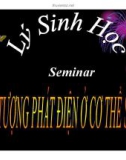 Seminar: Hiện tượng phát điện ở cơ thể sống