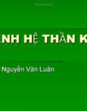 BỆNH HỆ THẦN KINH