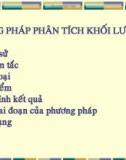 Phương pháp phân tích khối lượng