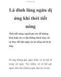 Lá đinh lăng ngừa dị ứng khi thời tiết nóng