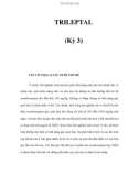 TRILEPTAL (Kỳ 3)