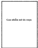 Gan nhiễm mỡ do rượu