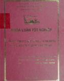 Khóa luận tốt nghiệp: Văn hoá kinh doanh các nước Scandinavia và cơ hội giao thương của Việt Nam