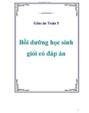 Giáo án Toán 5 - Bồi dưỡng học sinh giỏi có đáp án