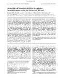 Báo cáo khóa học: Escherichia coli thioredoxin inhibition by cadmium Two mutually exclusive binding sites involving Cys32 and Asp26