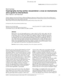 Báo cáo khoa học: Capnography during cardiac resuscitation: a clue on mechanisms and a guide to intervention