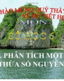 Bài giảng Số học 6 chương 1 bài 15: Phân tích một số ra thừa số nguyên tố