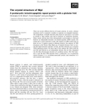 Báo cáo khoa học: The crystal structure of NlpI A prokaryotic tetratricopeptide repeat protein with a globular fold