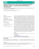 Báo cáo khoa học: Crystal structure of an ascomycete fungal laccase from Thielavia arenaria – common structural features of asco-laccases