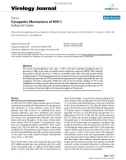 Báo cáo hóa học: Cytopathic Mechanisms of HIV-1