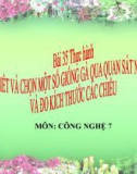 Bài giảng Công nghệ 7 bài 35: Thực hành nhận biết một số giống gà qua ngoại hình và đo kích thước