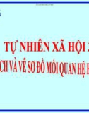 Bài giảng Thực hành phân tích và vẽ sơ đồ mối quan hệ họ hàng - TNXH 3- GV. N.T.Sỹ