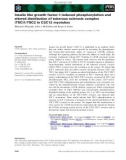 Báo cáo khoa học: Insulin like growth factor-1-induced phosphorylation and altered distribution of tuberous sclerosis complex (TSC)1⁄TSC2 in C2C12 myotubes