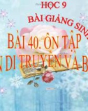 Bài giảng Sinh học 9 bài 40: Ôn tập phần di truyền và biến dị