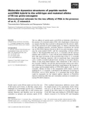 Báo cáo khoa học: Molecular dynamics structures of peptide nucleic acidÆDNA hybrid in the wild-type and mutated alleles of Ki-ras proto-oncogene