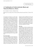 Báo cáo khoa học: A Combination of Atrioventricular Block and Sinoatrial Block in a Horse