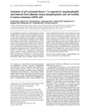 Báo cáo khoa học: Activation of p21-activated kinase 1 is required for lysophosphatidic acid-induced focal adhesion kinase phosphorylation and cell motility in human melanoma A2058 cells