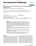 Báo cáo khoa học: The impact of elbow and knee joint lesions on abnormal gait and posture of sows