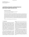 Báo cáo hóa học: Joint Multiuser Detection and Optimal Spectrum Balancing for Digital Subscriber Lines