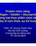 Protein chức năng: Collagen – Gelatin – Glucoprotein, những loại thực phẩm chức năng duy trì sức khỏe, sự trẻ trung - PGS.TS. Dương Thanh Liêm