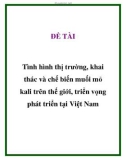 ĐỀ TÀI Tình hình thị trường, khai thác và chế biến muối mỏ kali trên thế giới, triển vọng phát triển tại Việt Nam 