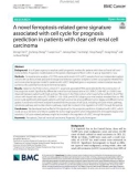 A novel ferroptosis-related gene signature associated with cell cycle for prognosis prediction in patients with clear cell renal cell carcinoma