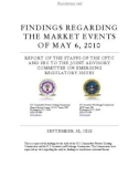 REPORT OF THE STAFFS OF THE CFTC AND SEC TO THE JOINT ADVISORY COMMITTEE ON EMERGING REGULATORY ISSUES