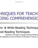 TECHNIQUES FOR TEACHING READING COMPREHENSION