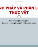 Bài giảng Danh pháp và phân loại thực vật - ThS. Võ Hồng Trung