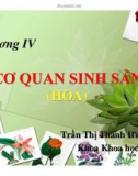 Bài giảng Thực vật và phân loại thực vật - Chương 4: Cơ quan sinh sản (Hoa)