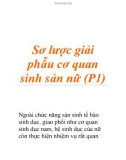 Sơ lược giải phẫu cơ quan sinh sản nữ (P1)