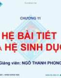 Bài giảng Sinh học đại cương A2: Chương 11 - Ngô Thanh Phong