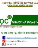 Bài giảng Sinh học người và động vật: Sinh lý bộ máy tiêu hóa - TS. Trần Thị Bình Nguyên